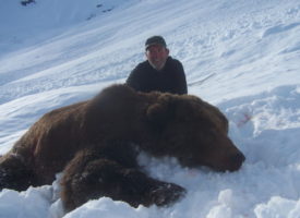 Bill Murphy bear