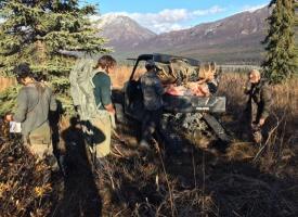 Enruquie moose on ranger