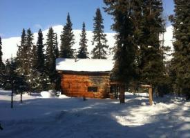 Field Photos cabin