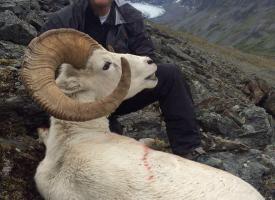 Jim Chugach Range Ram