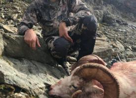 Rob Mutti Chugach Ram