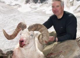 Roland Lawson Sheep