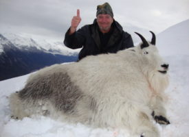 bill murphy goat