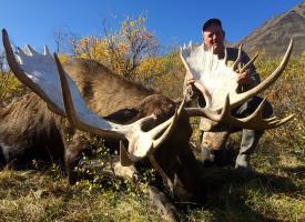 bill murphy moose