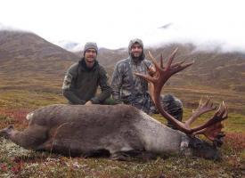 caribou Rob Hardy