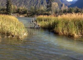 copper river trap