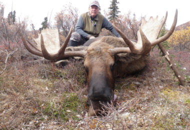 Moose & Caribou Hunts