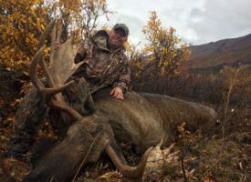 moose alaska range