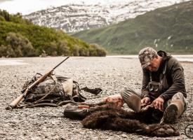 skinning bear on copper black and white