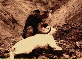 wrangell ram