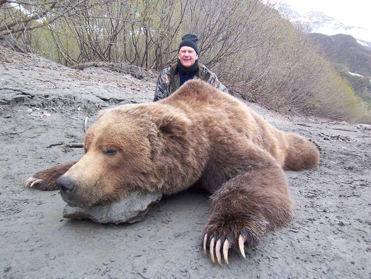 bear hunt alaska