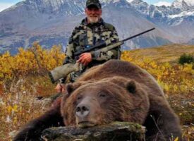 bears4