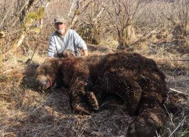 bears6