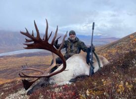 moose3