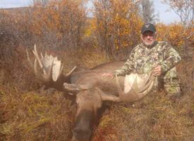 moose4