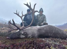 moose5