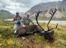moose7