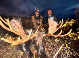 moose7